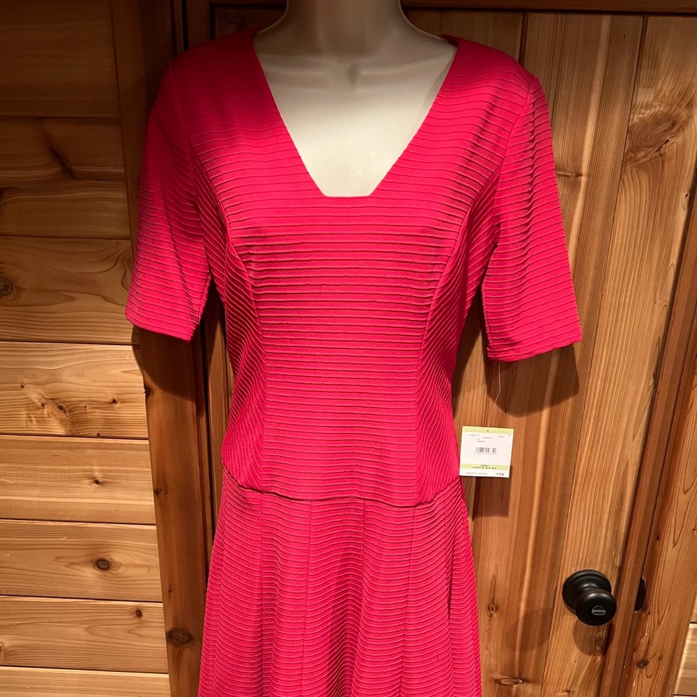 Strawberry dress